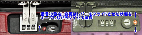 サルサの番号変更